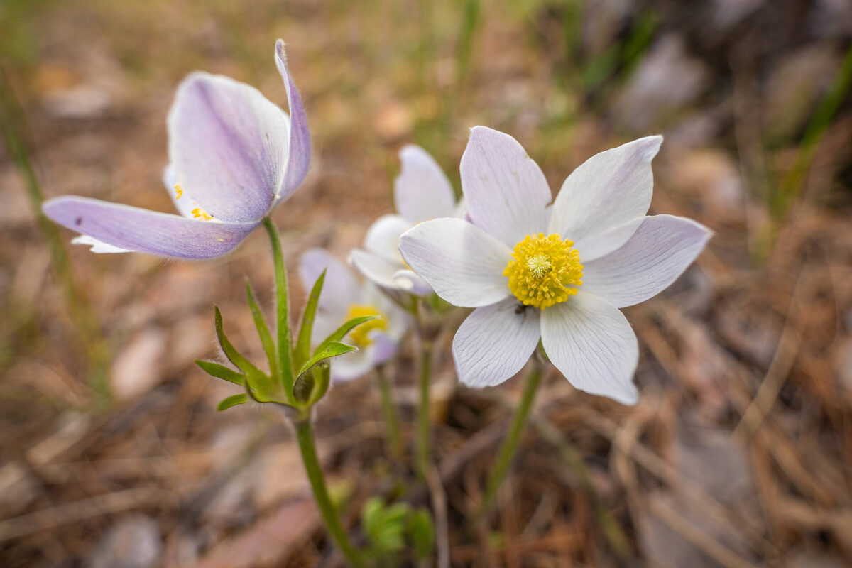 Фото: © Владимир Васильев / «Татар-информ» ​