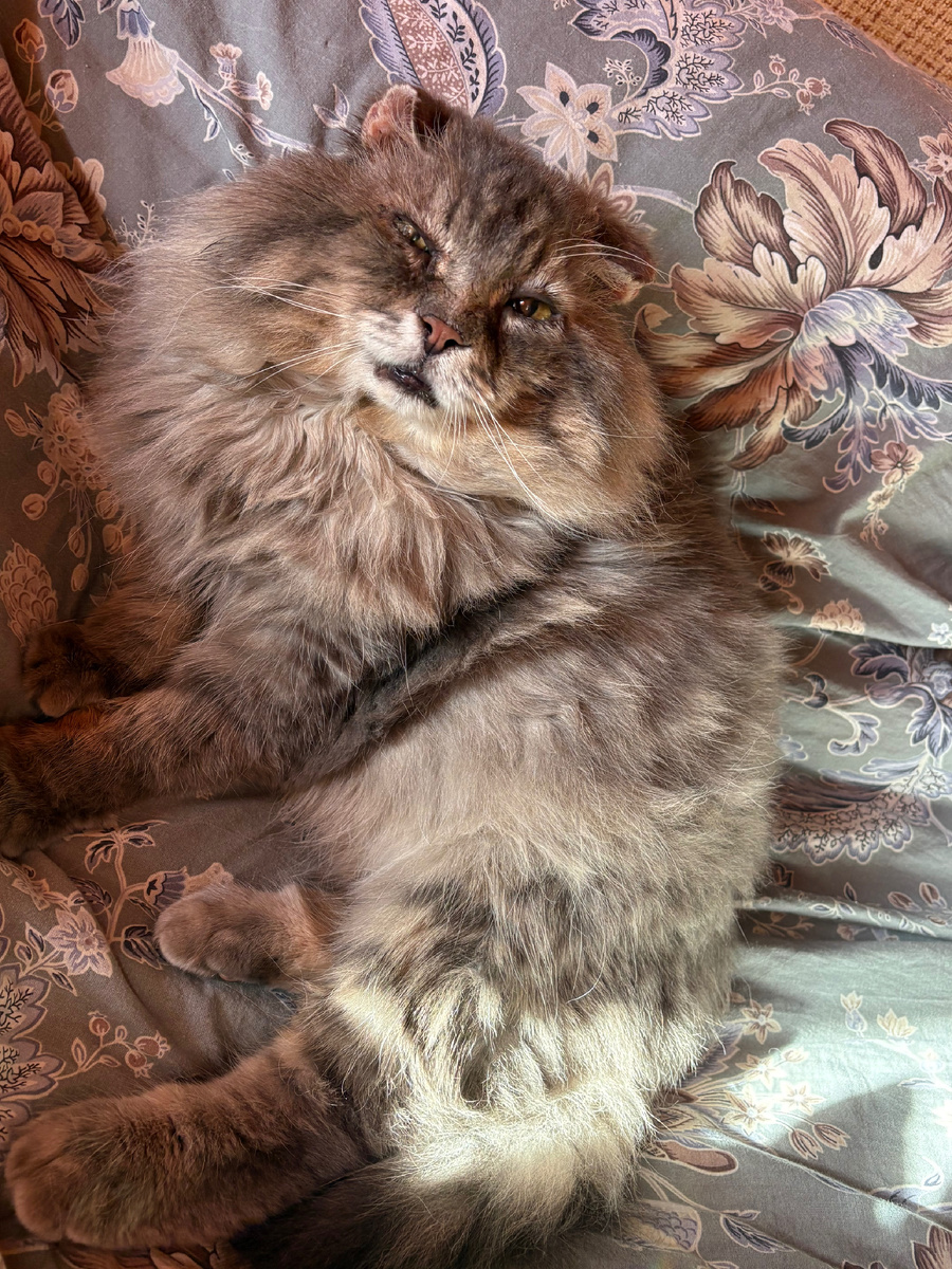 Мне скучно!!! Поиграйте со мной!