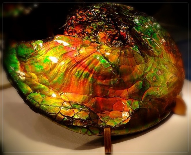 Самый редкий и дорогой перламутр. Драгоценная находка с ювелирной выставки "Симфония Самоцветов"