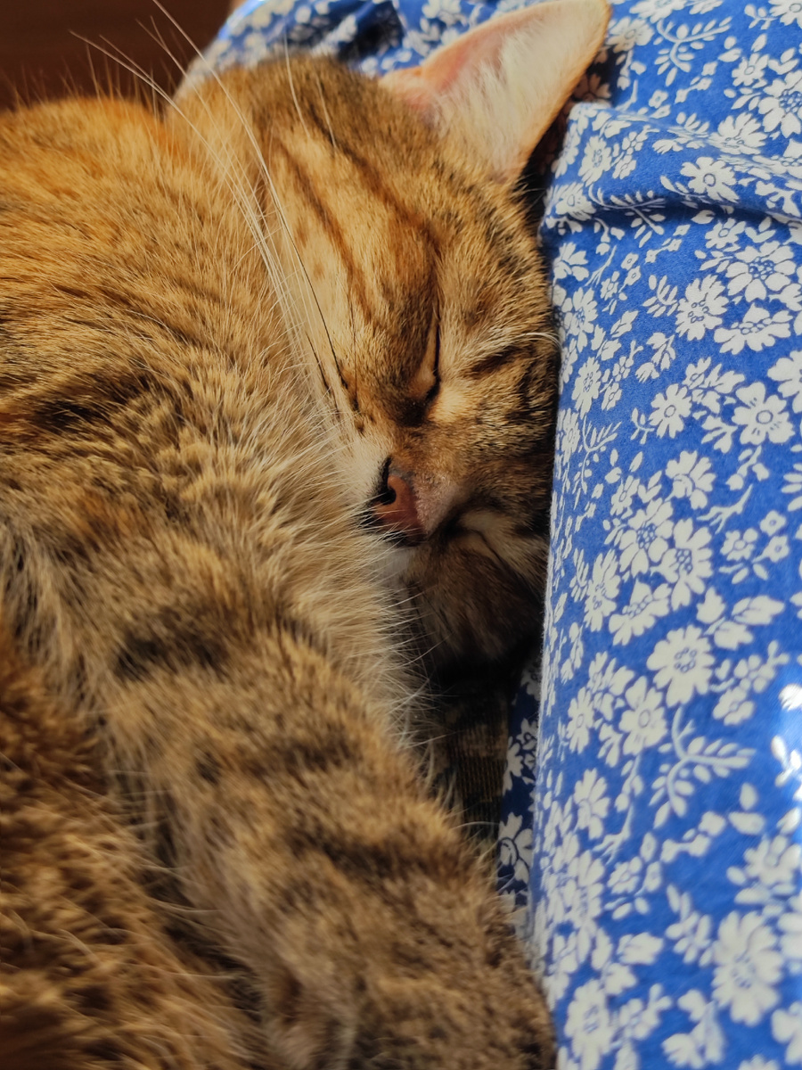 Фото автора канала 