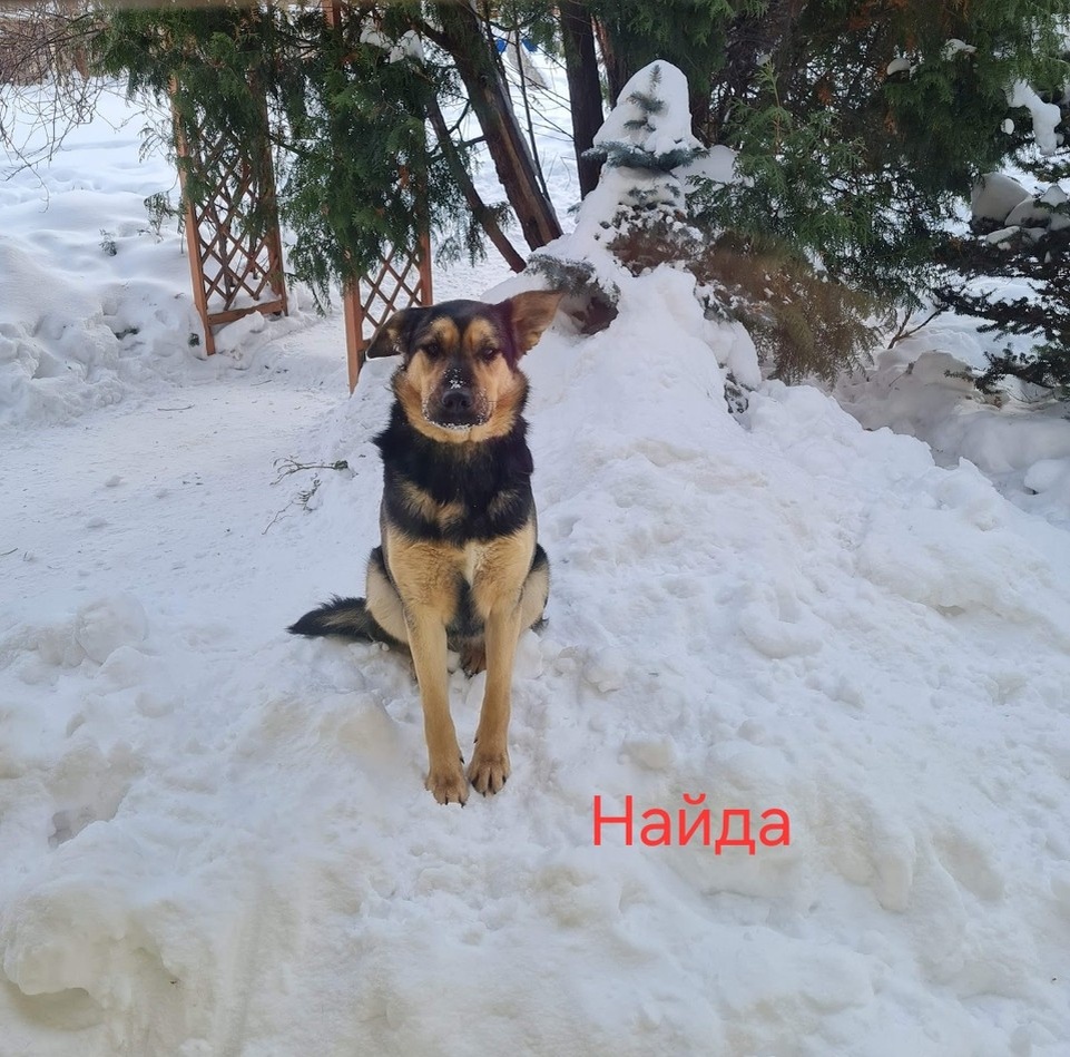    Фото: предоставлено героиней истории