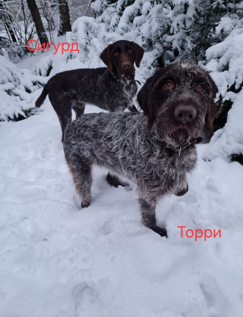    Фото: предоставлено героиней истории