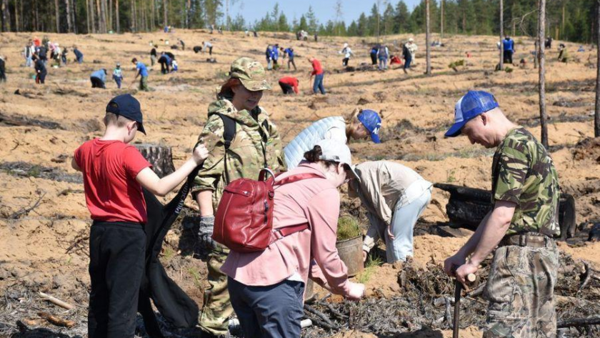    Минприроды Марий Эл с сайта www.gtrkmariel.ru