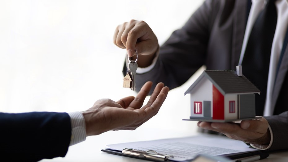 Автор фото: Wasan Tita/Shutterstock/FOTODOM 