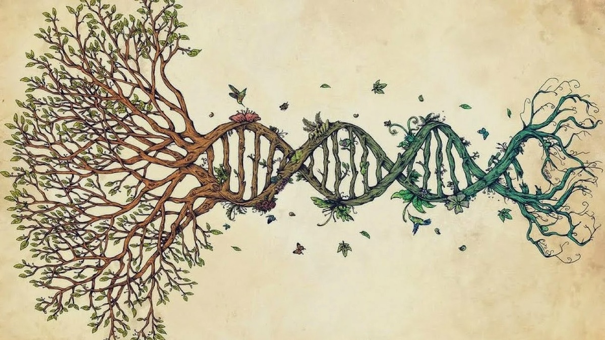 Именно так выглядит та самая «химия», о которой пишут поэты, только вместо гормонов здесь — вековая запутанность, а вместо свободы — почетная миссия семейного повторителя.