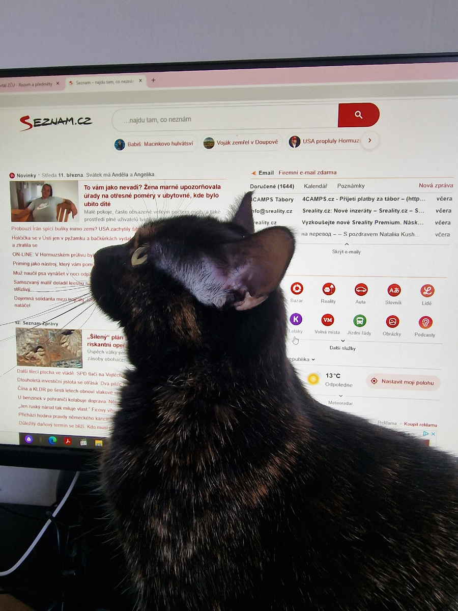 даже кошка бежит со всех лап ко мне, когда ее зову шепотом