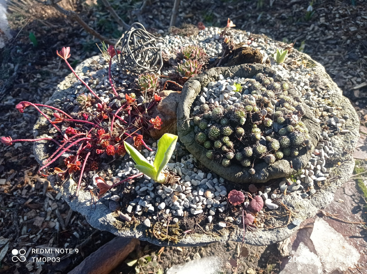 Самая большая чаша из бетона