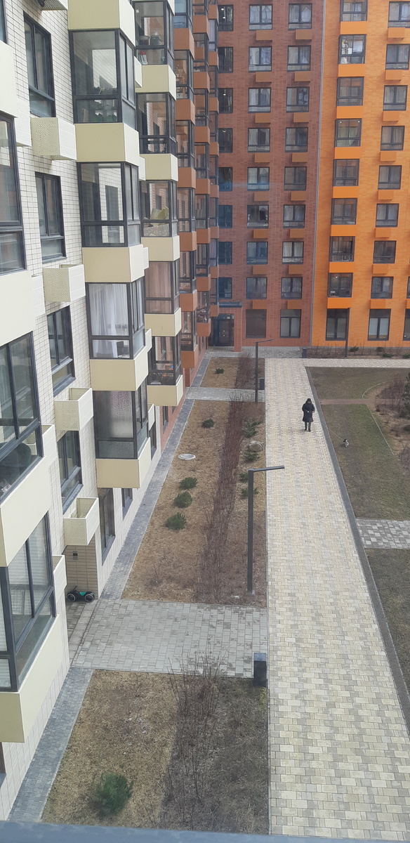 Мы в город изумрудный идем дорогой трудной