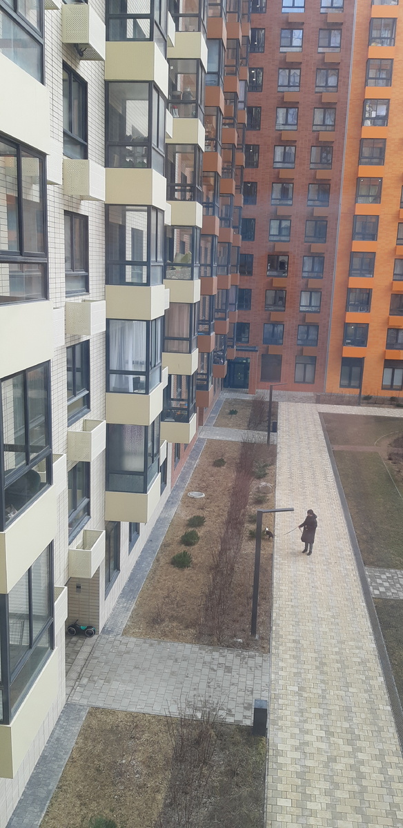 Тотошка проверил насколько подросла сосенка и ускорил её рост как мог. Наш парень. Тотоний!