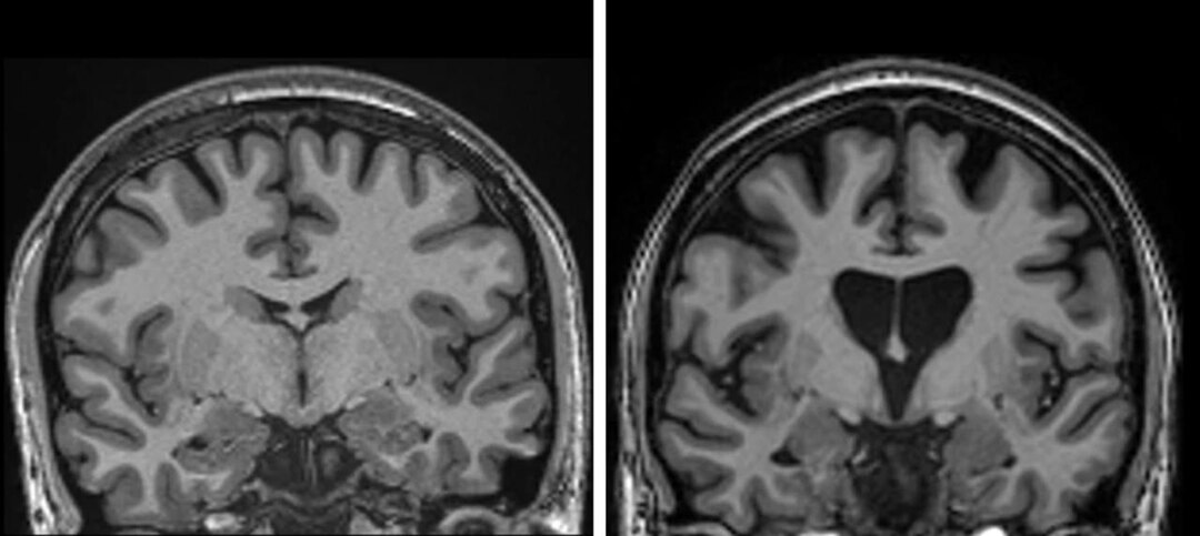 Новость с пометкой ⚡️