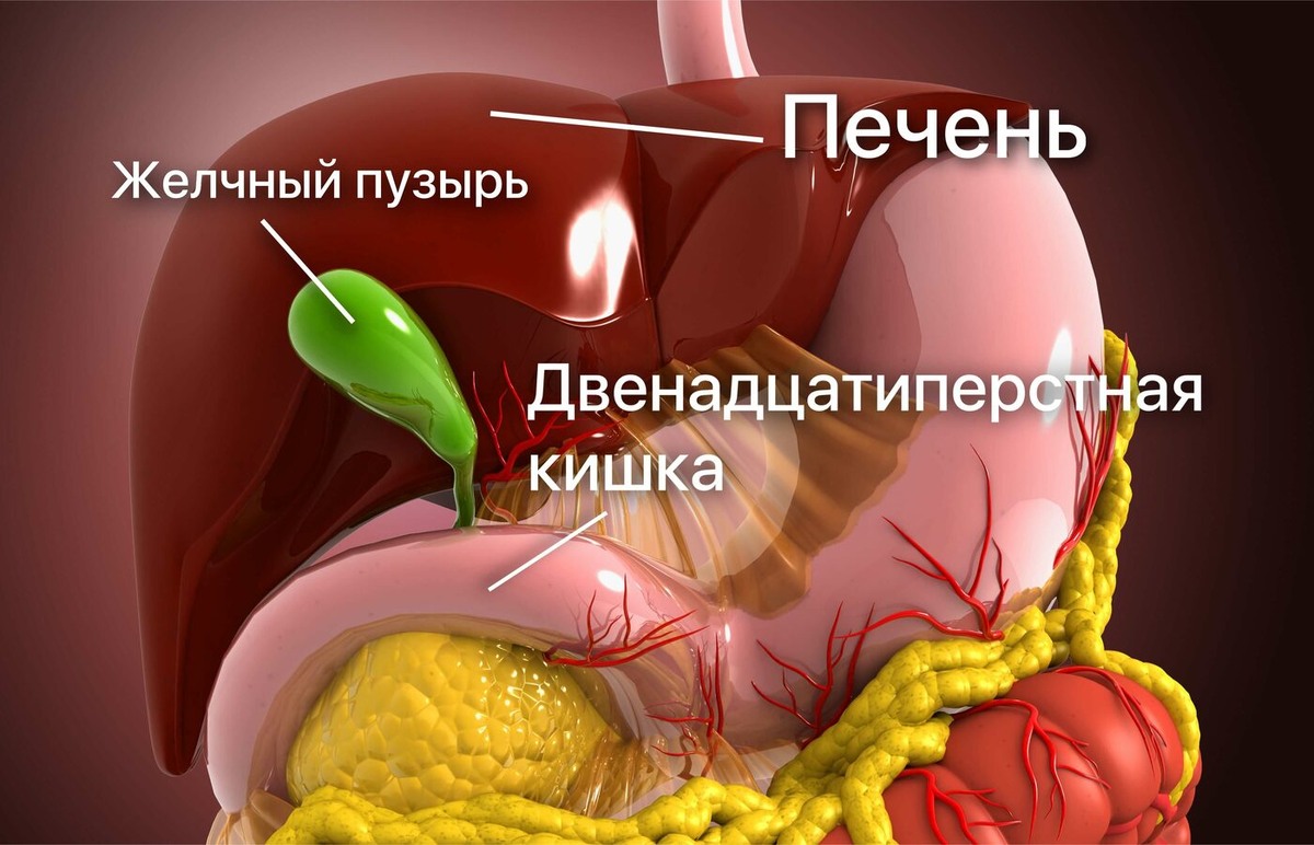 Перегиб желчного пузыря: стоит ли бить тревогу? Отвечает врач гастроэнтеролог