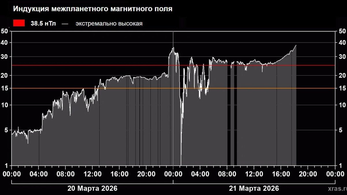    Фото: lpixras/t.me