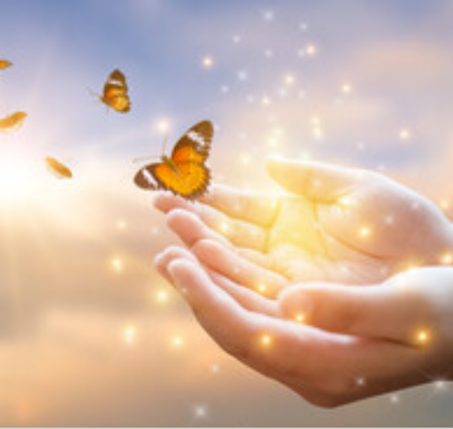 Понимание эффекта бабочки помогает нам жить более осознанно.