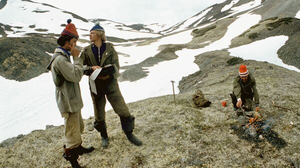 (источник: gold.1prime.ru)