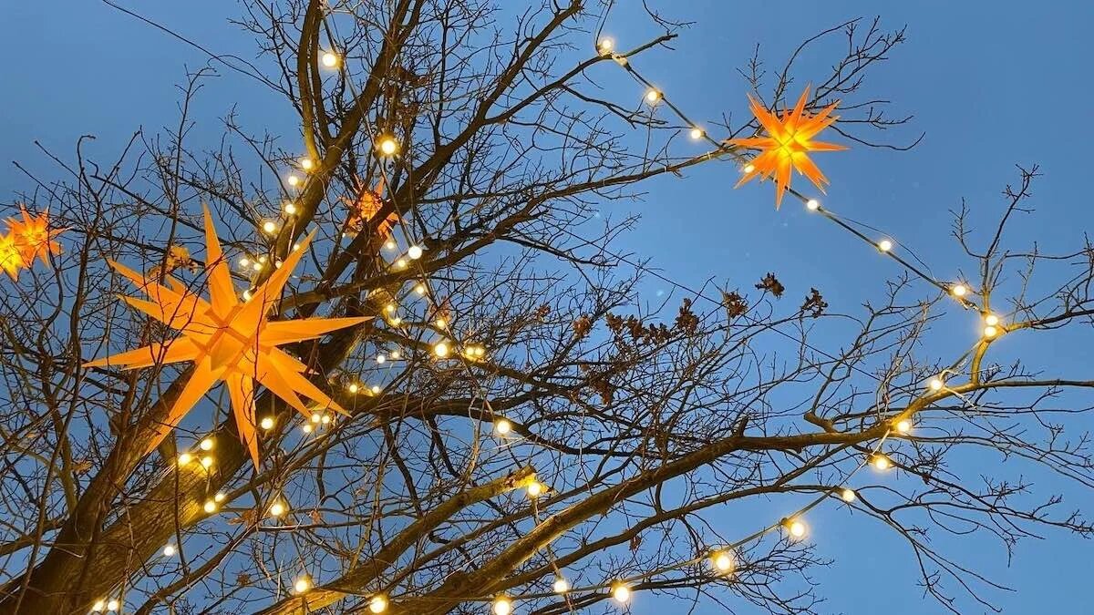 Фото: UfacityNews.ru