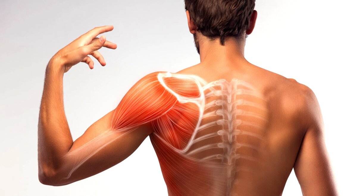 фото из открытого источника