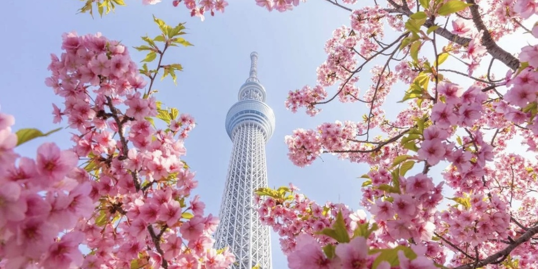 Новости для любителей путешествовать: