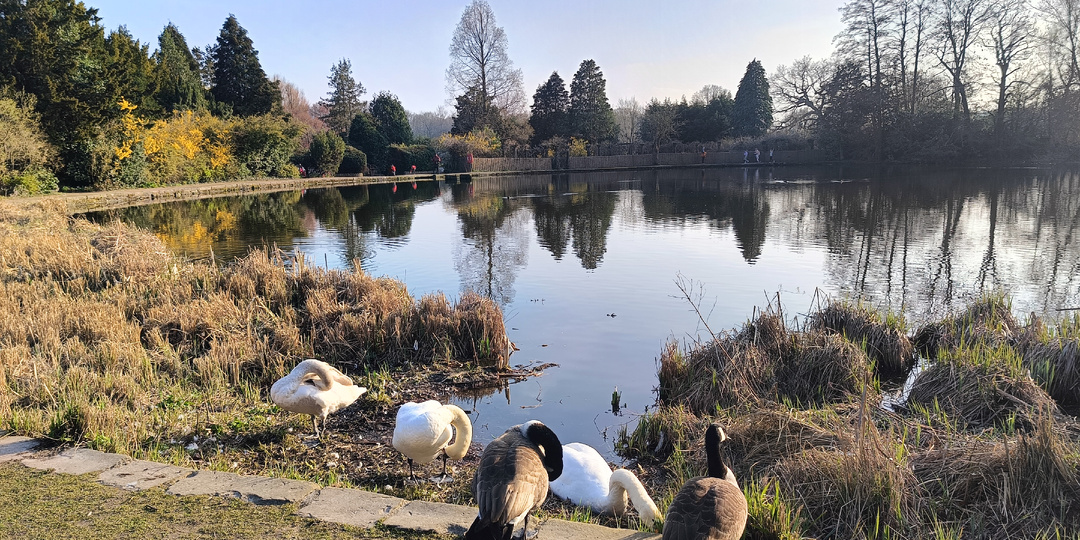 Из британской глубинки: муж садоводит, а я гуляю сама по себе