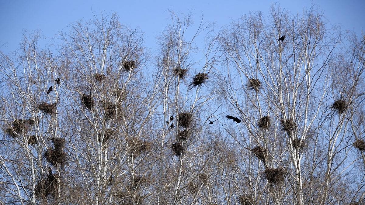    Фото: Владимир Смоляков / Вечерняя Москва