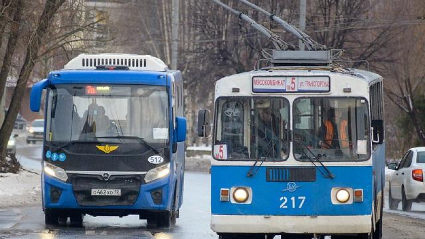    Фото Павла Старикова с сайта www.vnd12.ru