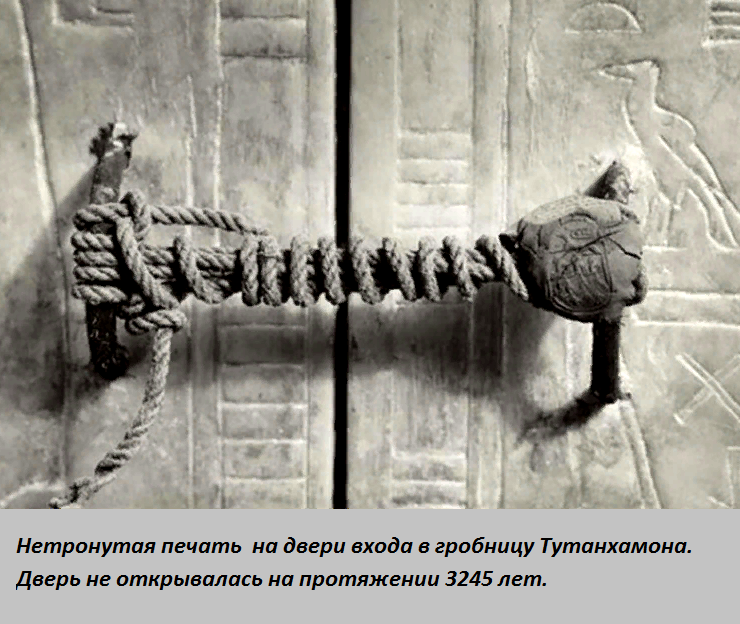 Источник фото fishki.net