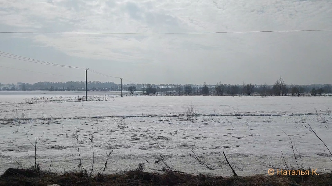 Фото автора канала. По пути на дачу. 