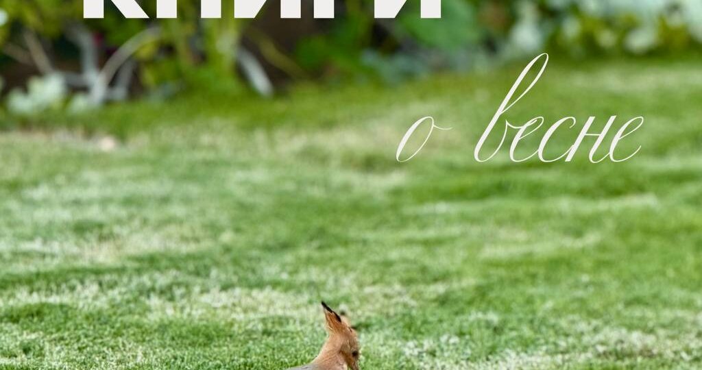 Книги про весну для малышей: подборка, которую вы точно искали