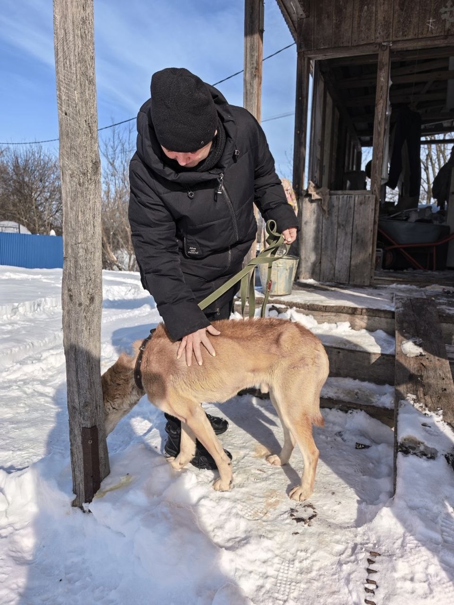 А забрали мы его таким...