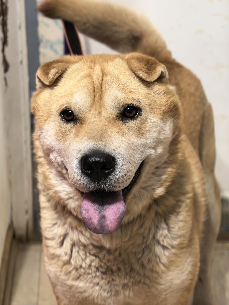 Курт сейчас выглядит так!