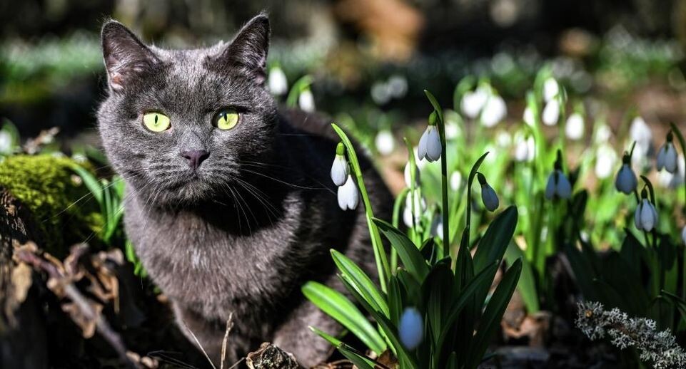    РИА «Новости»