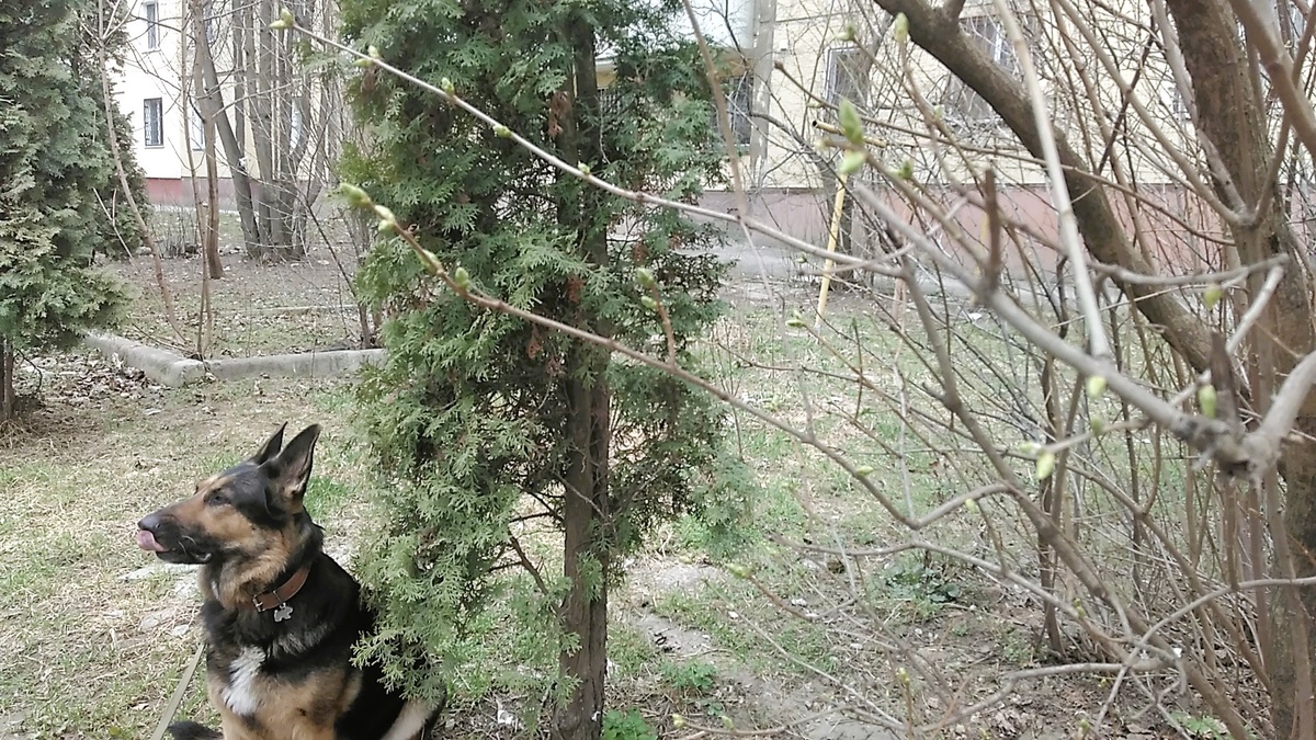 Фото автора