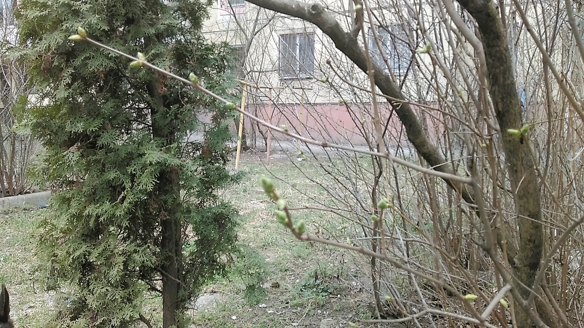 Фото автора