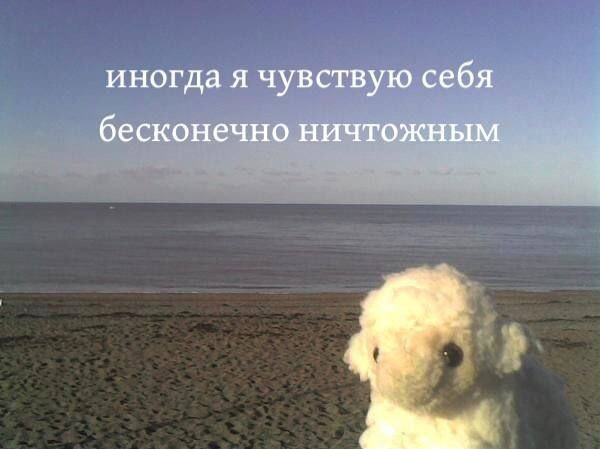когда купила новый адаптер, потому что думала, что дело в нём (налог на глупость)