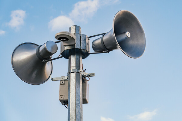bermuda cat/Shutterstock/FOTODOM   📷