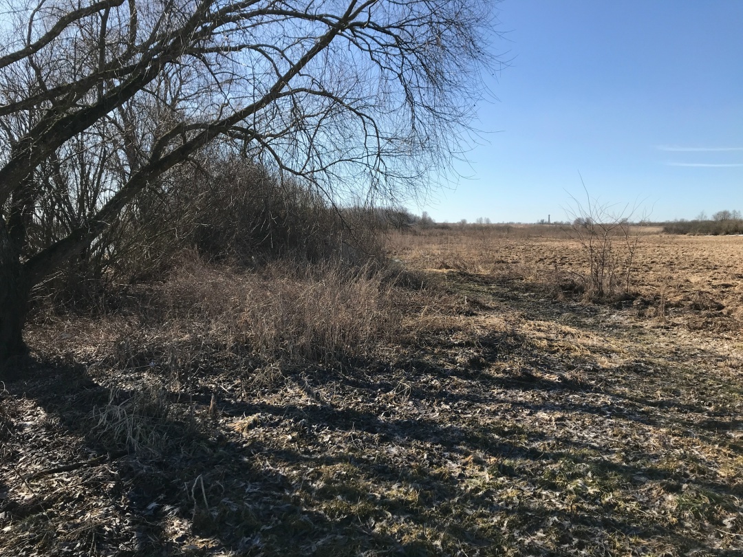 Старые лещёвые места. Река Волхов.1 из 2