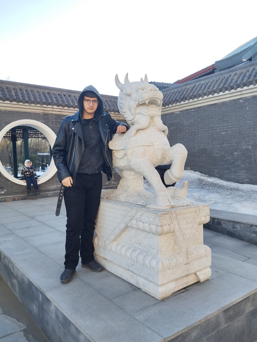 Собаки по-прежнему охраняют вход. Или львы?!🤔