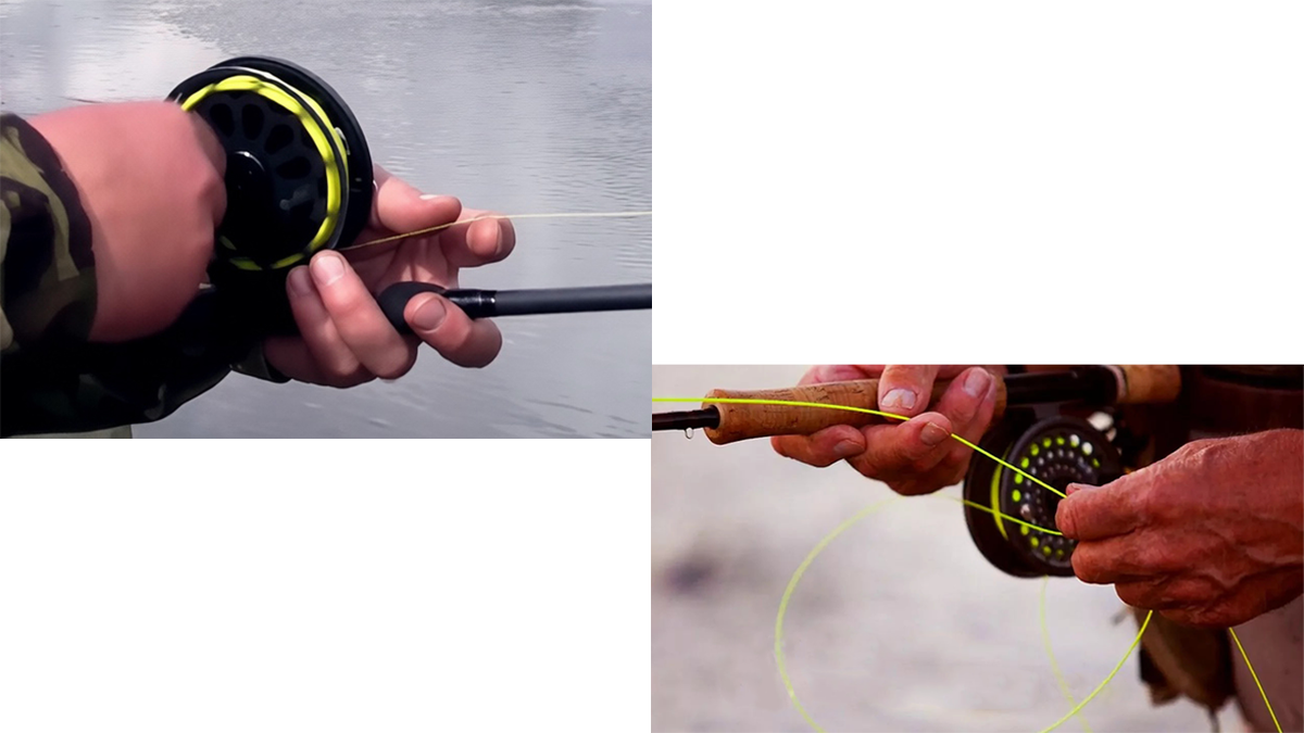 Найдите отличия.