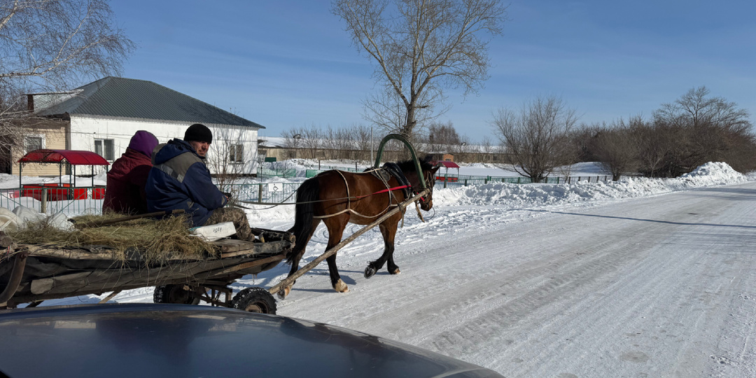 Сороки: Точка Отсчета и Точка Памяти...