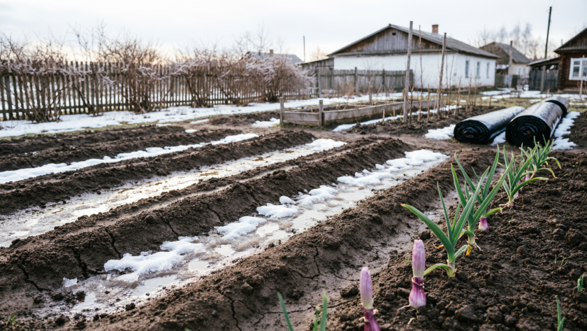    Создано нейросетями