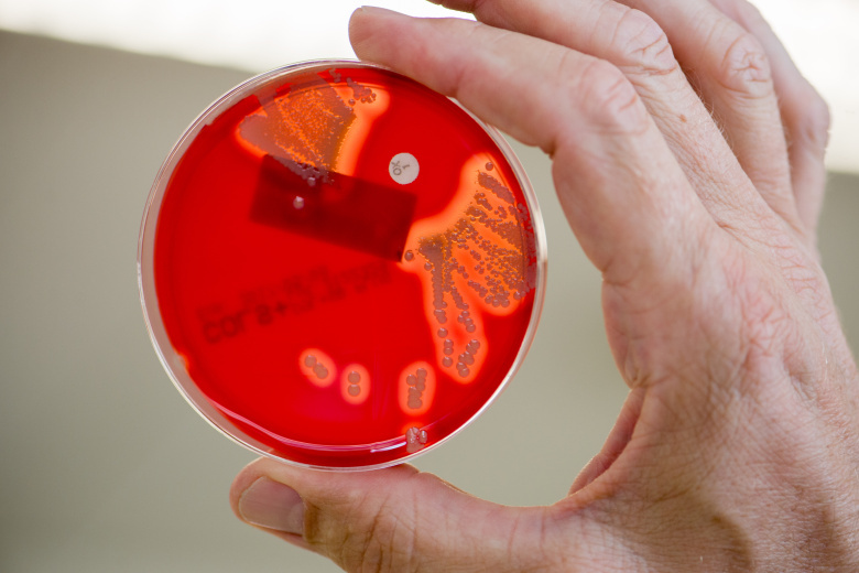    Armin Weigel/dpa/Global Look Press