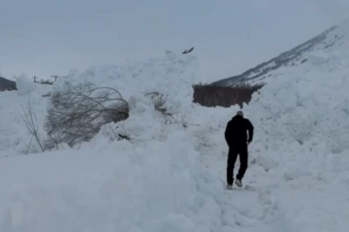    В МЧС рассказали подробности о сошедшей на Камчатке лавине