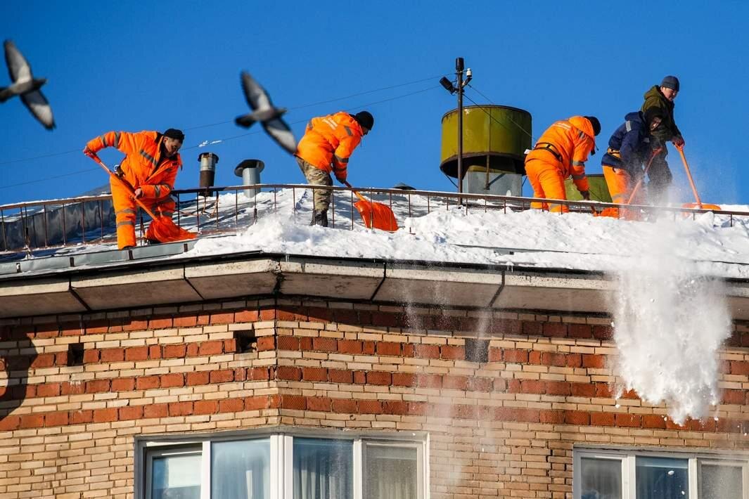    Фото: ИЗВЕСТИЯ/Сергей Лантюхов