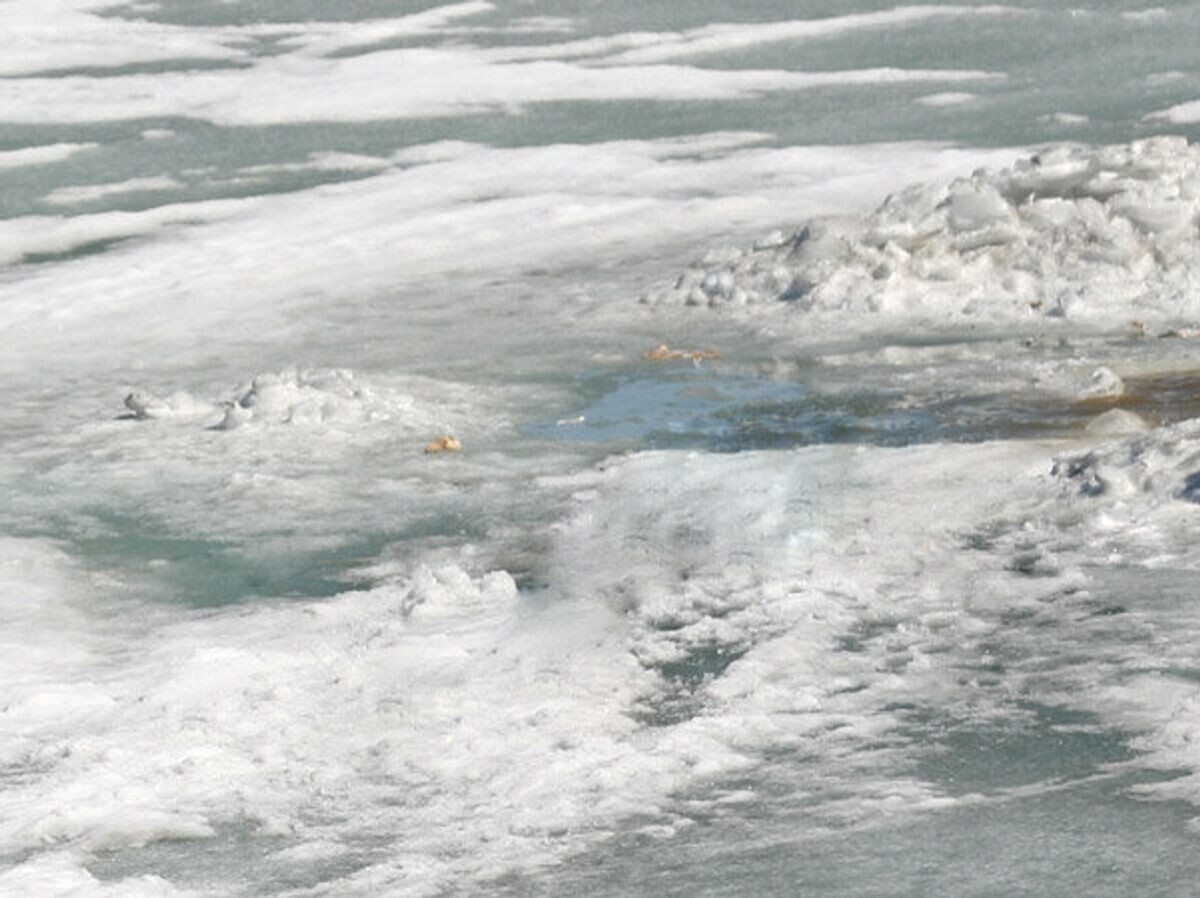    Лед | © РИА Новости