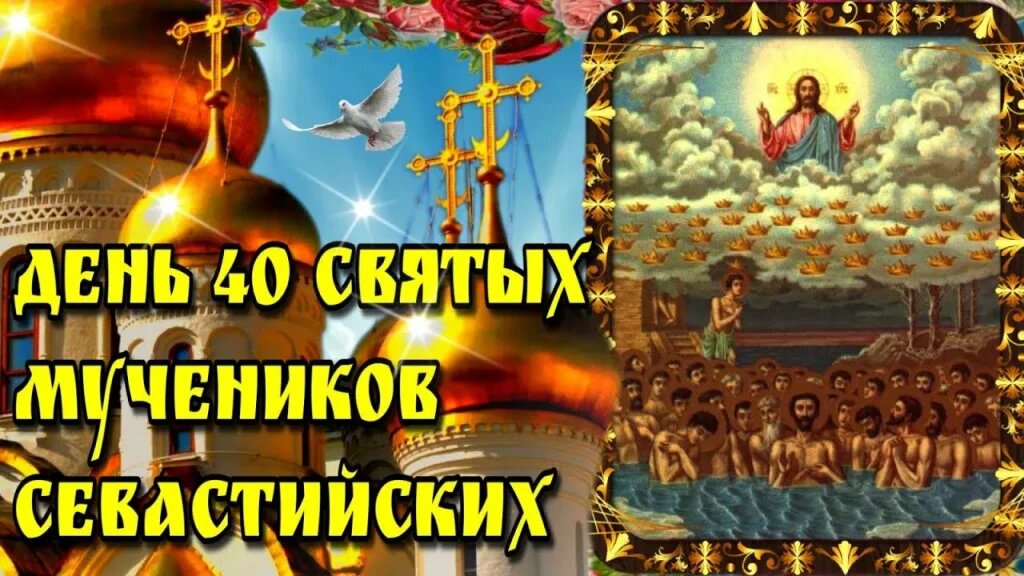    Фото: YouTube Веселовские вести