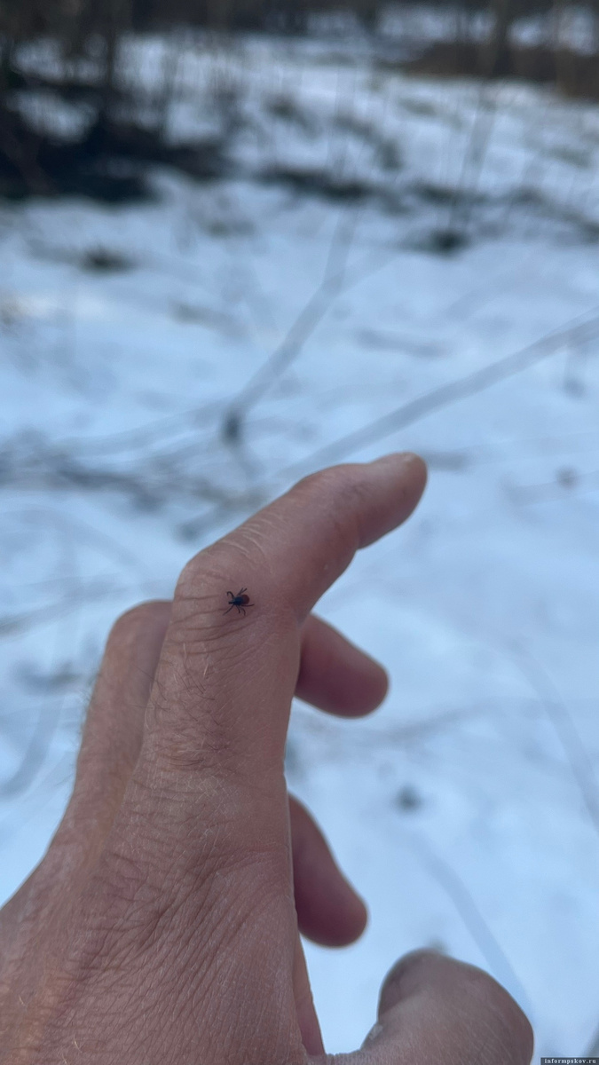 Фото: Гарри Невельский