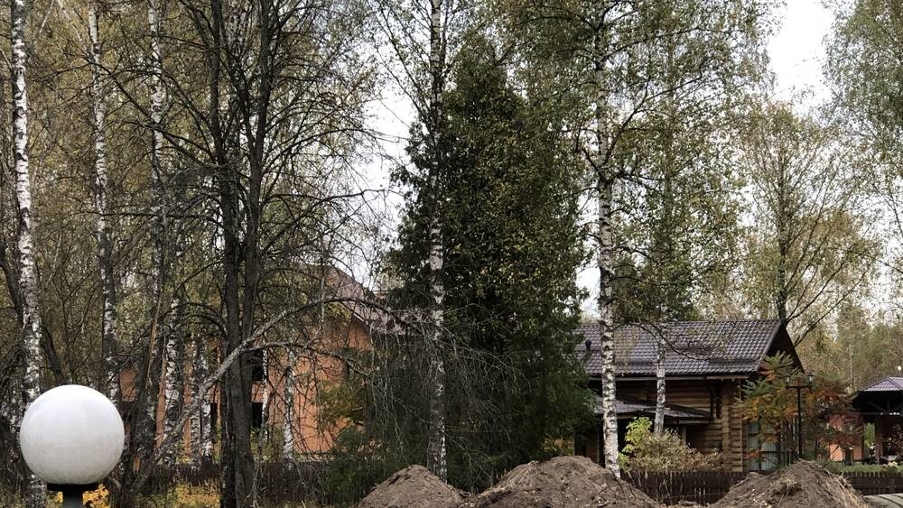    Фото: «Брянские новости»