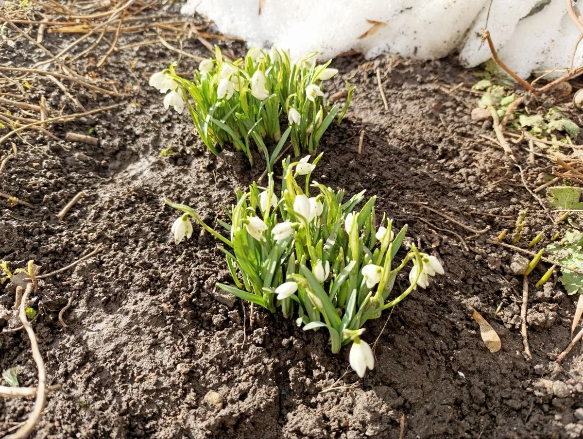 Фото: газета «Великолукская правда. Новости»