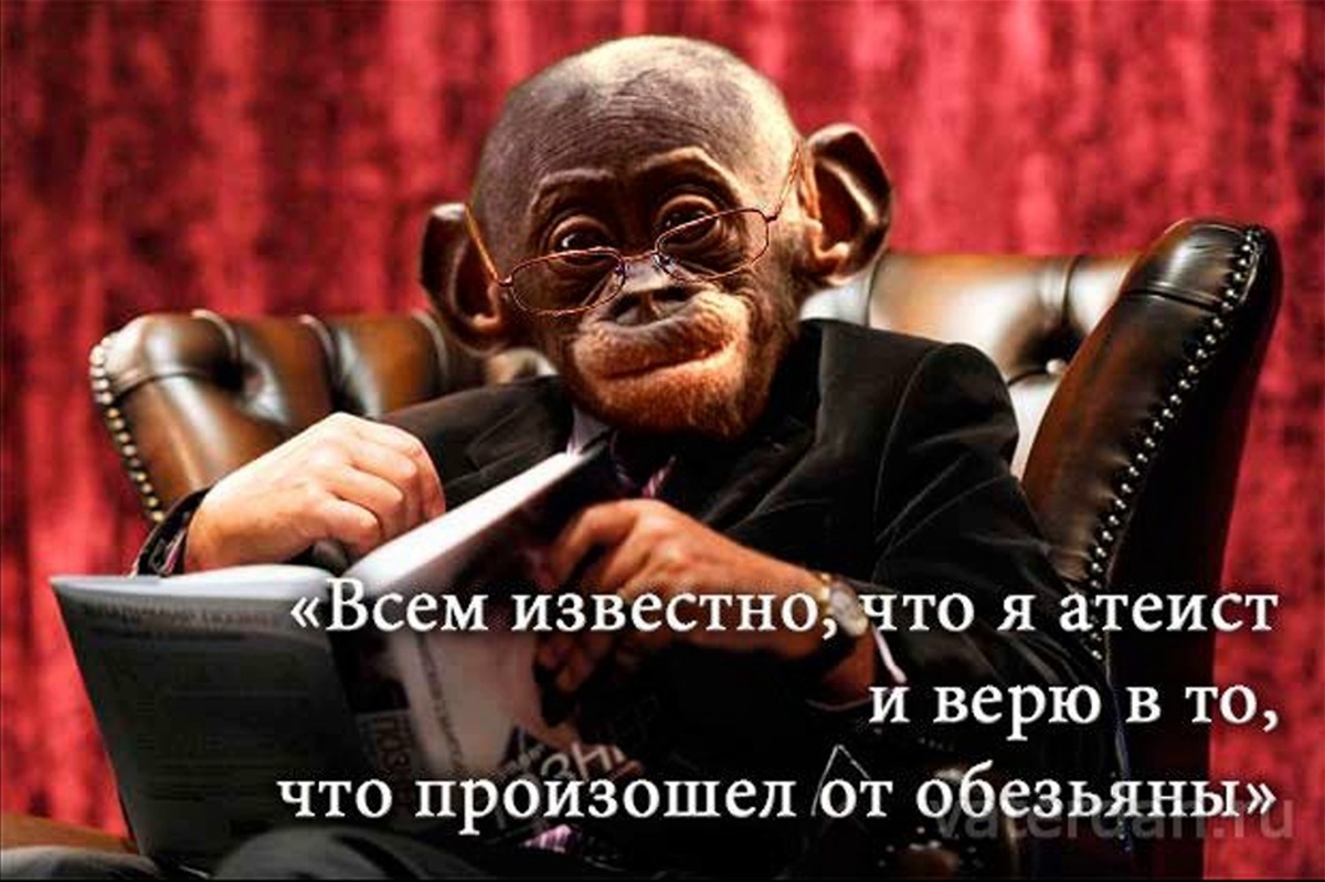 Из открытых источников