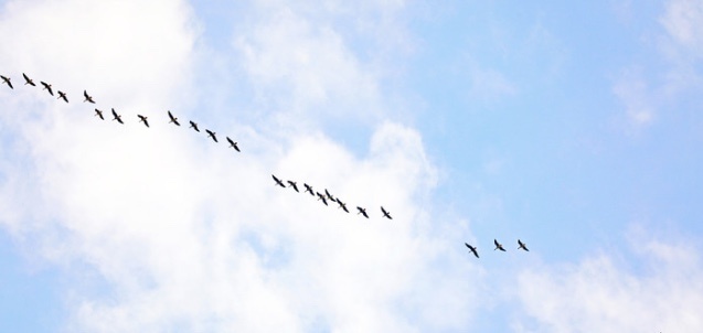 Всем хорошего дня