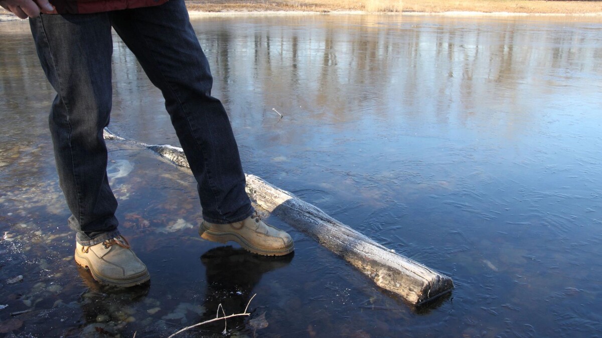    Фото: Werner Schneider/Shutterstock/Fotodom